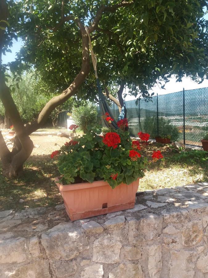 Appartamento in Collina Fondi Esterno foto